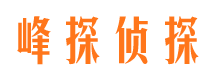 木里外遇调查取证